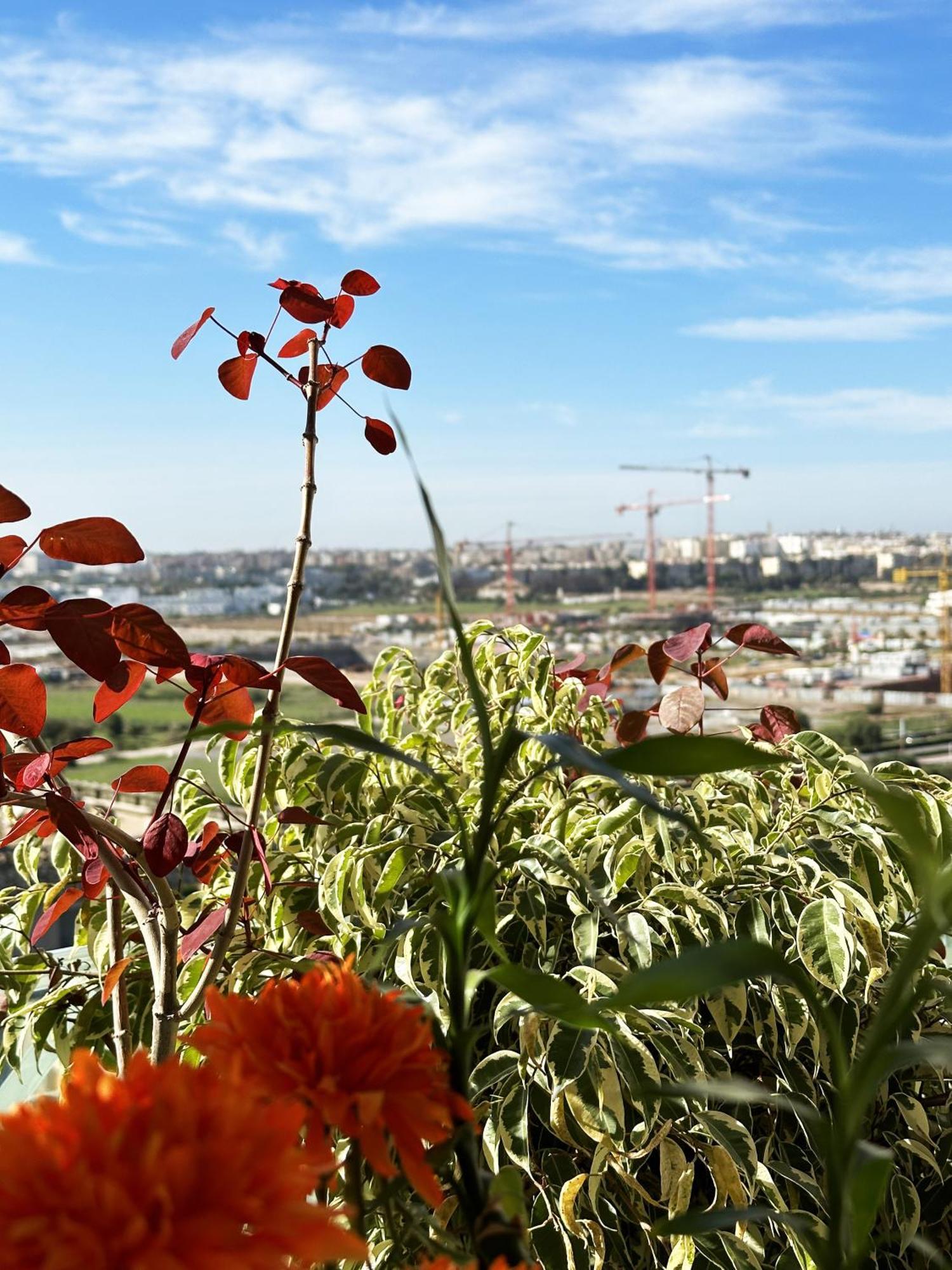 Anfa Louise Apartman Casablanca Kültér fotó